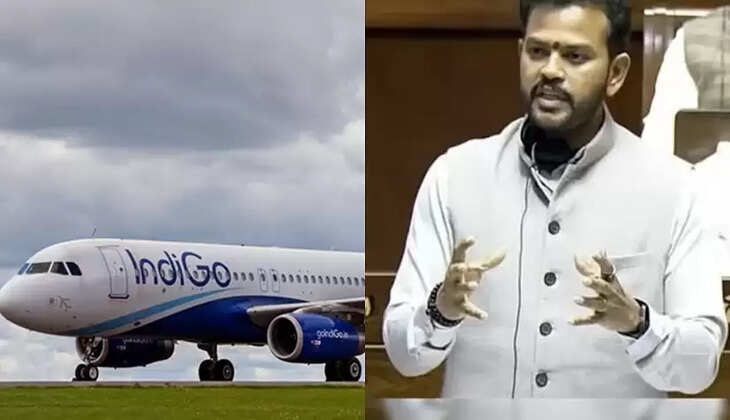 இண்டிகோ