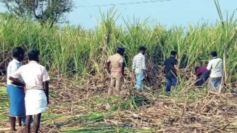 ராஜேஸ்வரி 