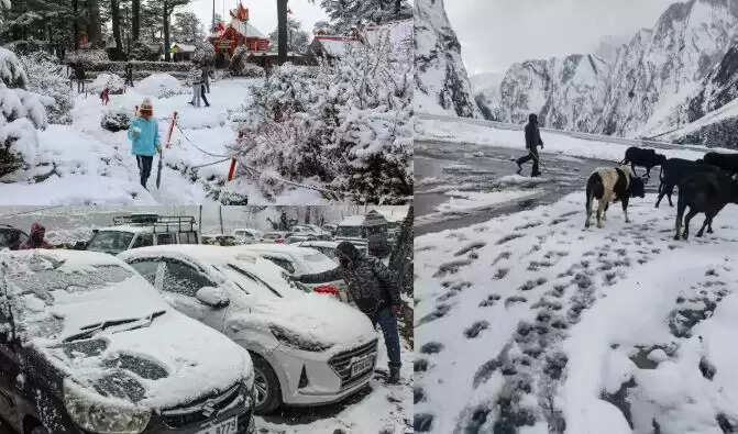 பனிப்பொழிவு