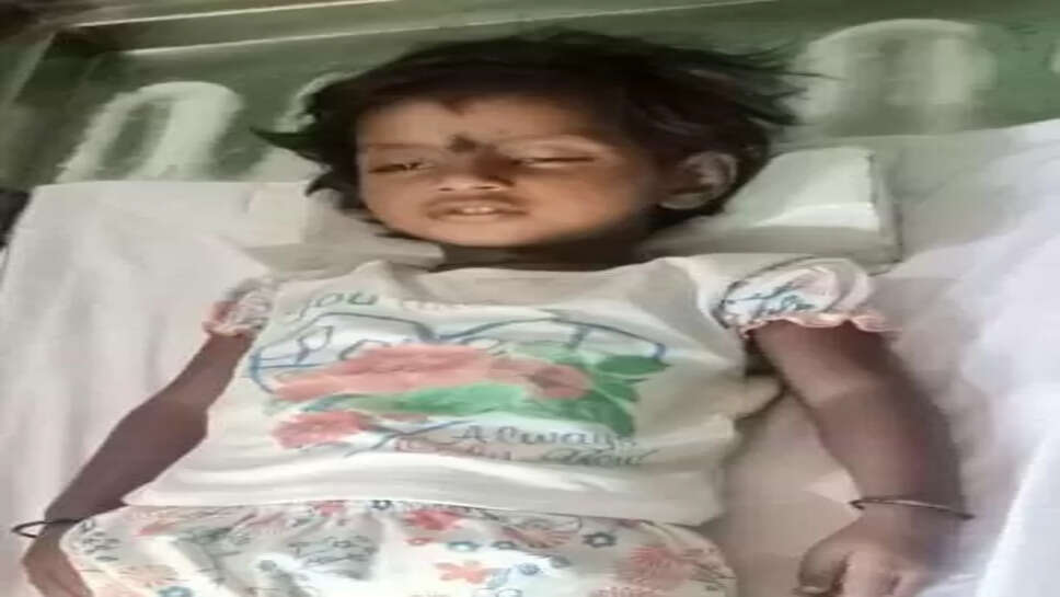 துர்கா ஸ்ரீ