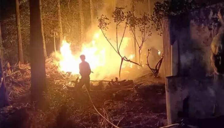 தீ பனைமரிந்து எரிந்து