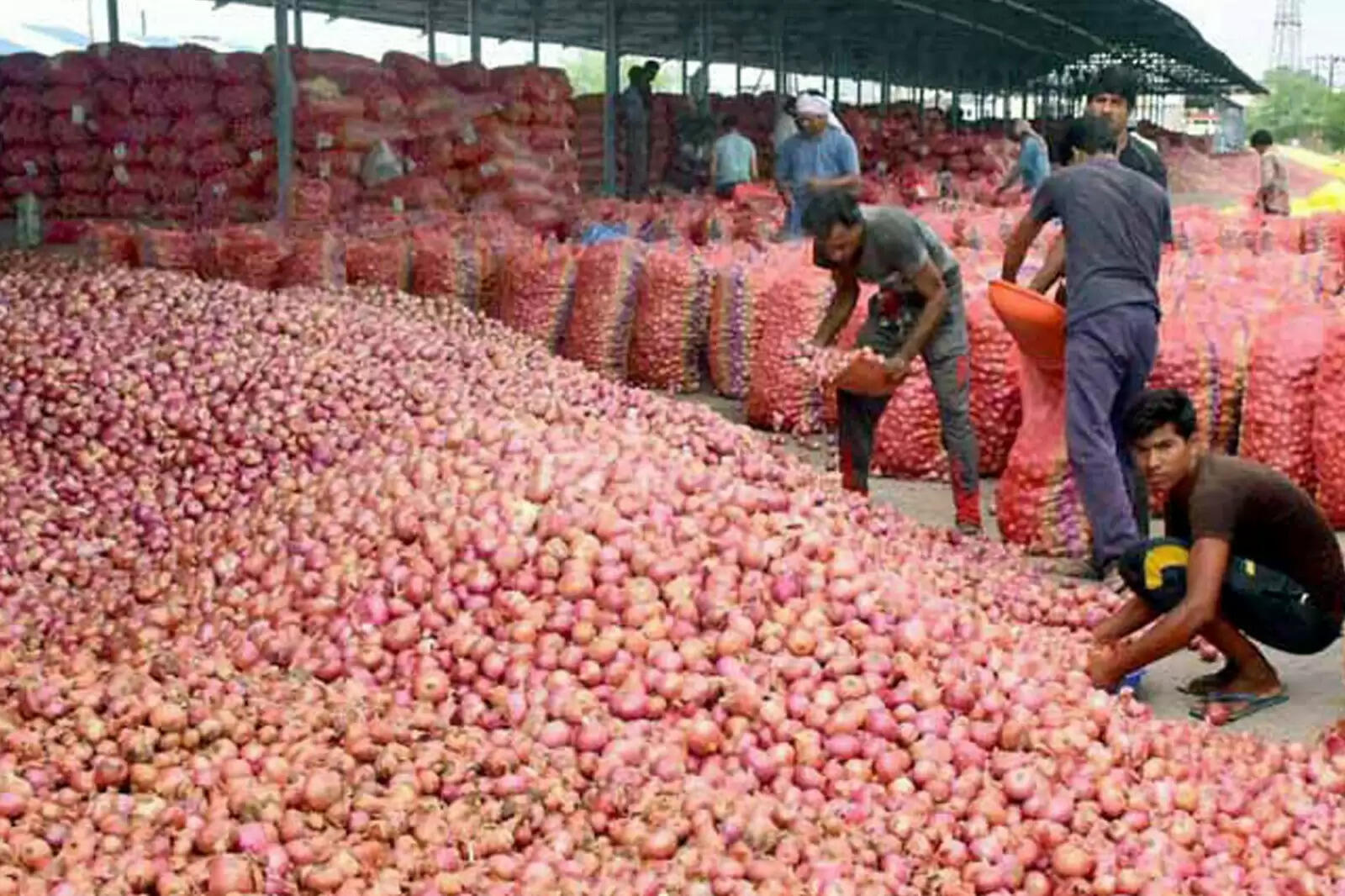 வெங்காயம்