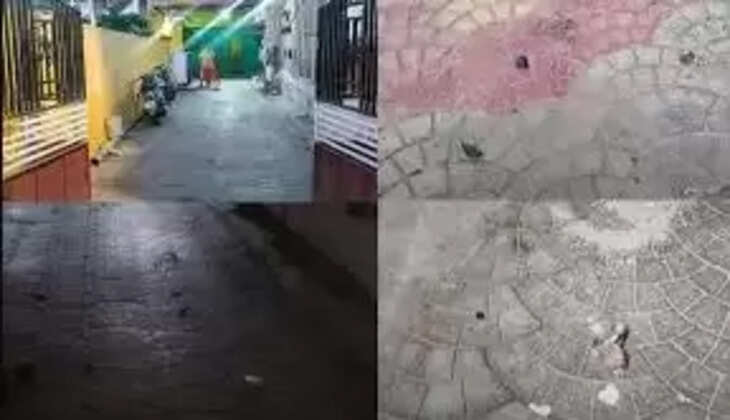 பெட்ரோல் குண்டு வீச்சு