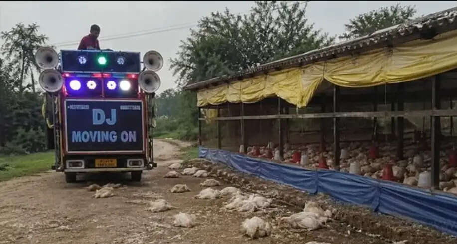 உபி