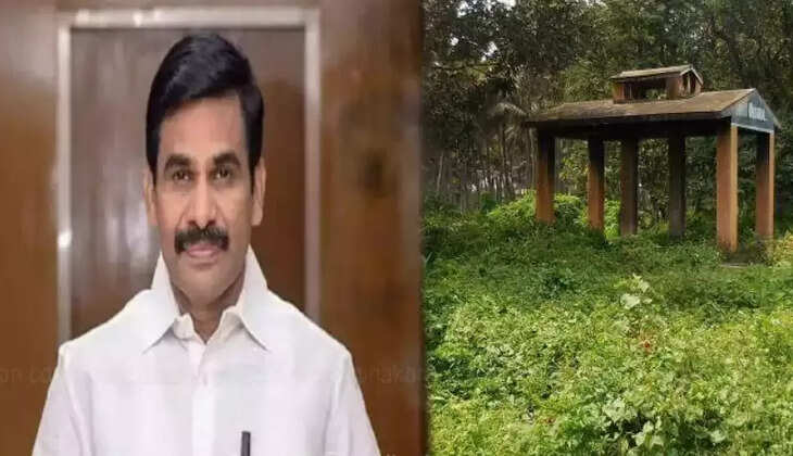 பசுமை மயானங்கள்