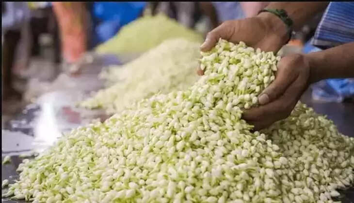 மல்லிகைப்பூ மல்லிகை பூ