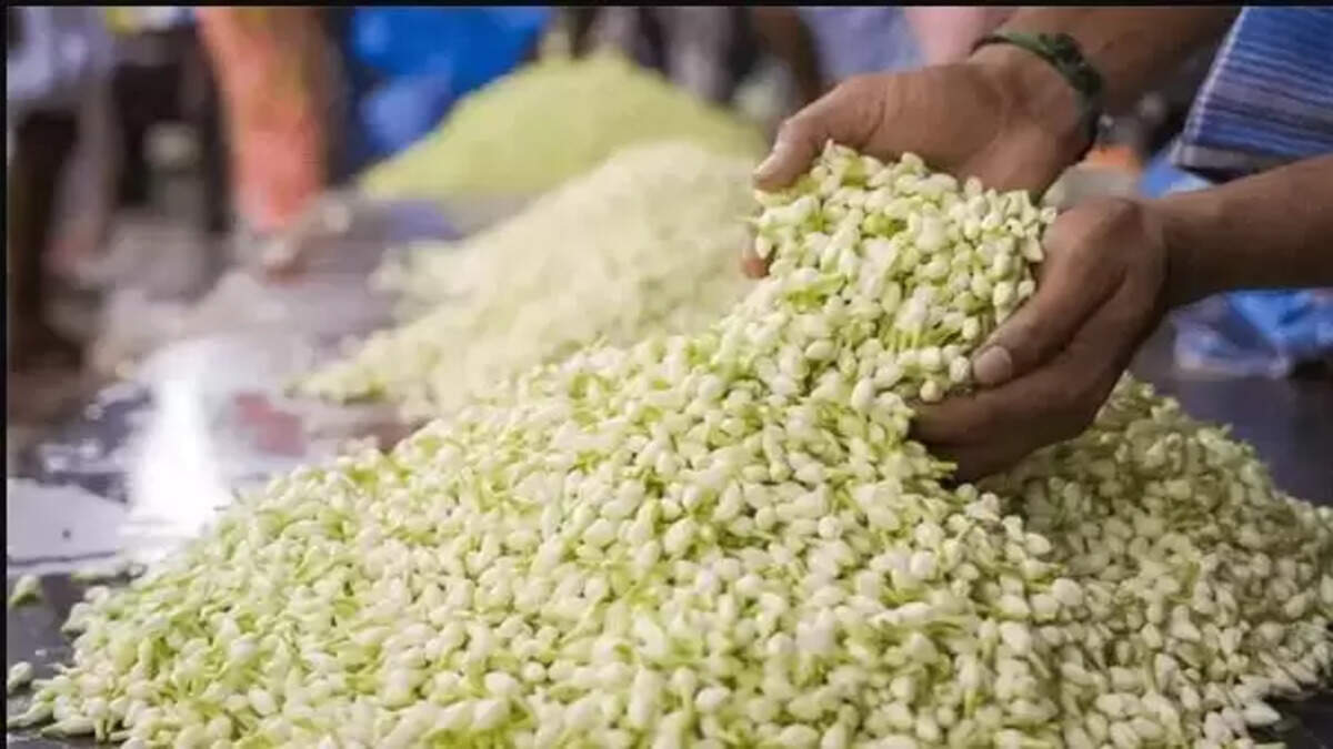 மல்லிகைப்பூ மல்லிகை பூ