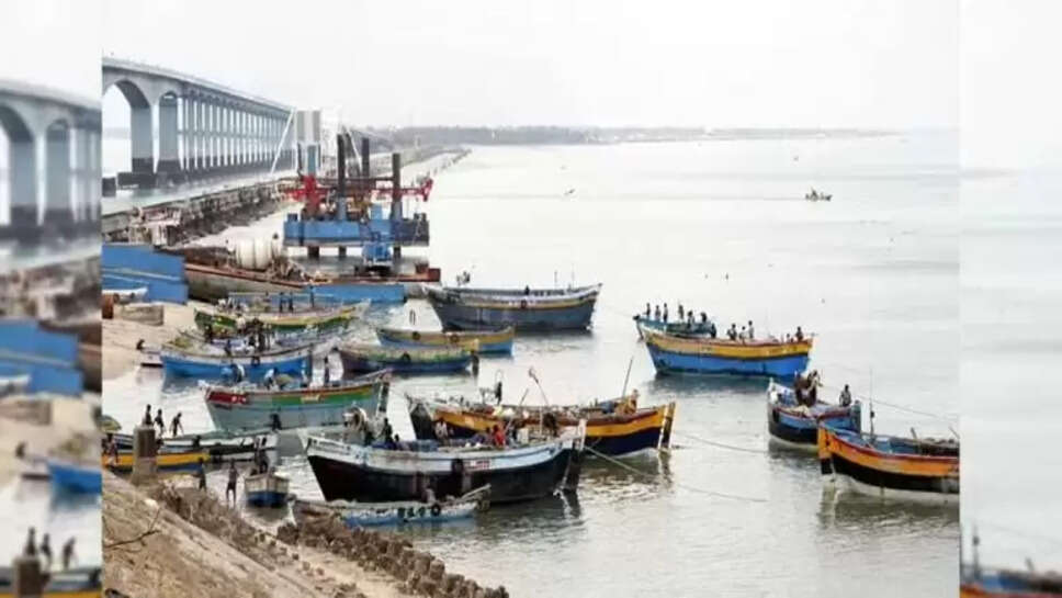 படகுகள்