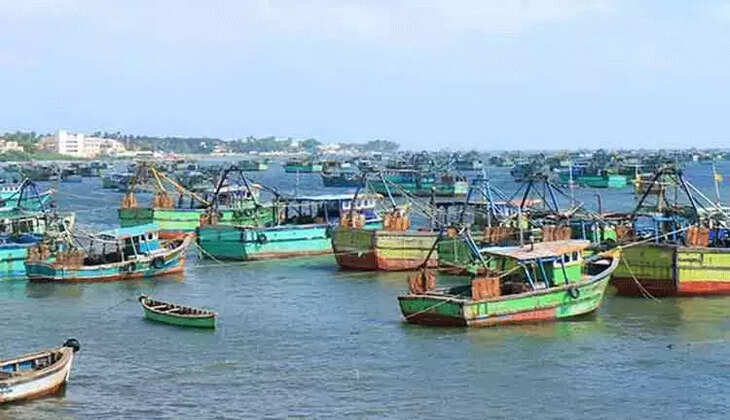 கடல் படகு மீனவர்கள் மீன்