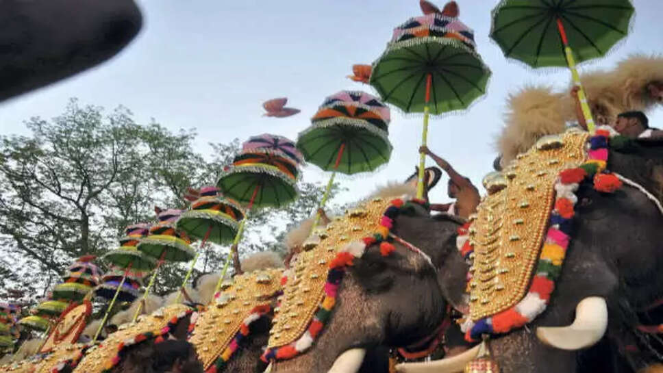 திருச்சூர் பூரத்தில் யானைகள்