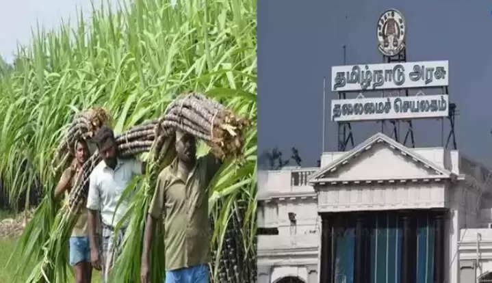 கரும்பு பொங்கல்
