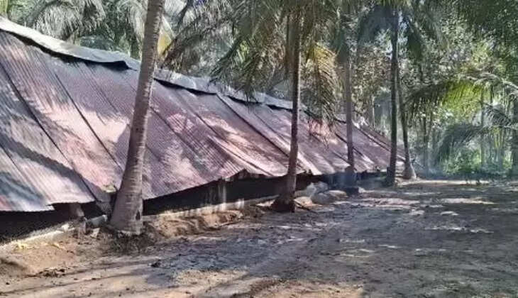 கோழிப்பண்ணை 