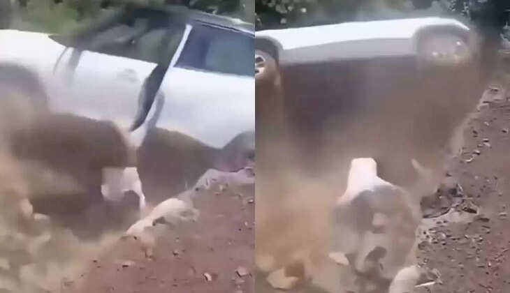 பகீர் வீடியோ... சாலையை விட்டு விலகி பள்ளத்தில் பாய்ந்த கார்... கீழே குதித்த ஓட்டுனர்!&nbsp;