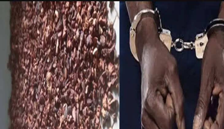 குட்கா