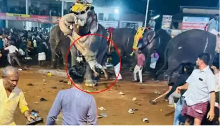 மதம் பிடித்த யானை