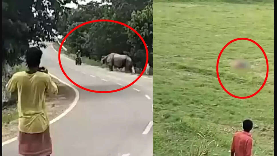 காண்டாமிருகம்