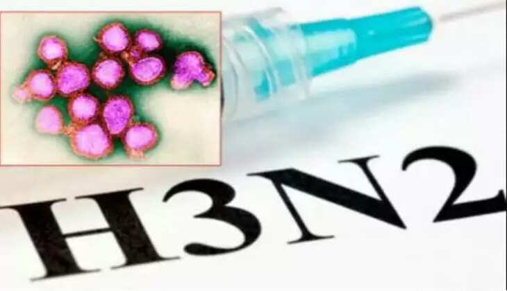 ஹெச்3என்2