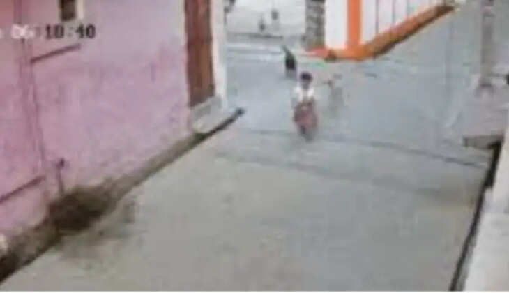 நாய்