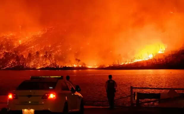 அமெரிக்கா காட்டுத்தீ