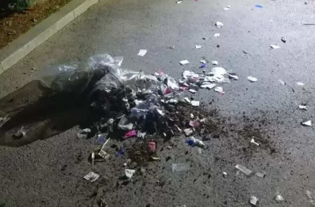 ராட்சத பலூன்