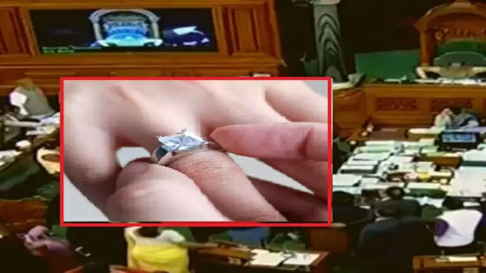 நோவா எர்லிச் 