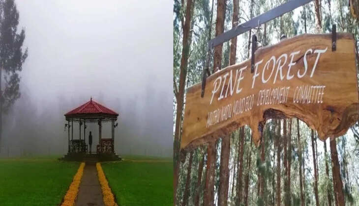 உதகை நீலகிரி ஊட்டி