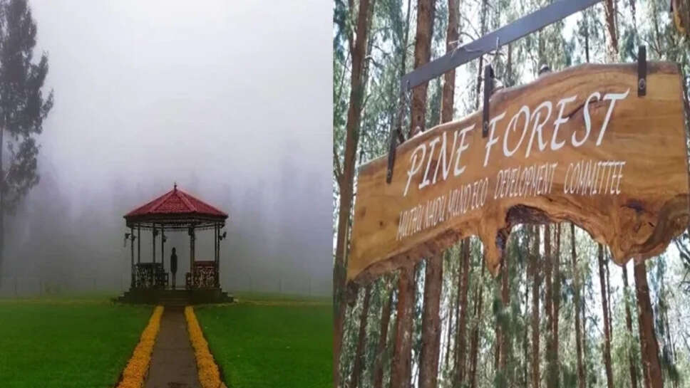 உதகை நீலகிரி ஊட்டி