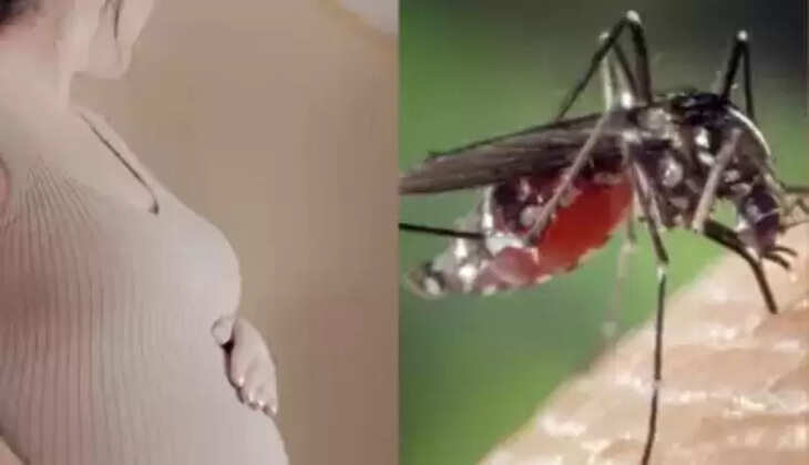 ஜிகா வைரஸ்