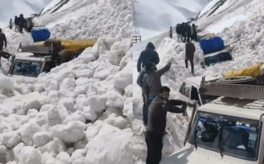 பனிச்சரிவு