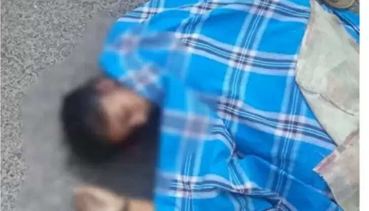 தன்ஷிகா