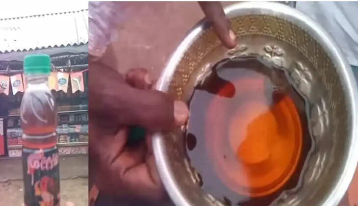 குளிர்பானத்தில் விஷ பூச்சி