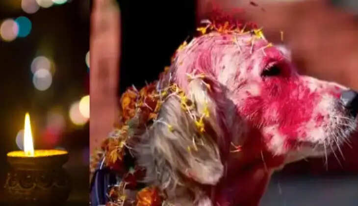 நாய் தீபாவளி