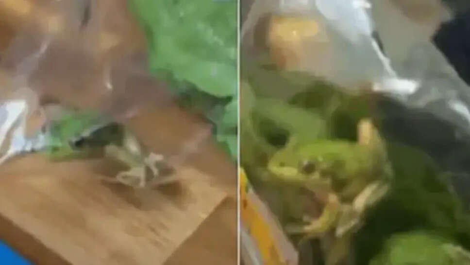 தவளை