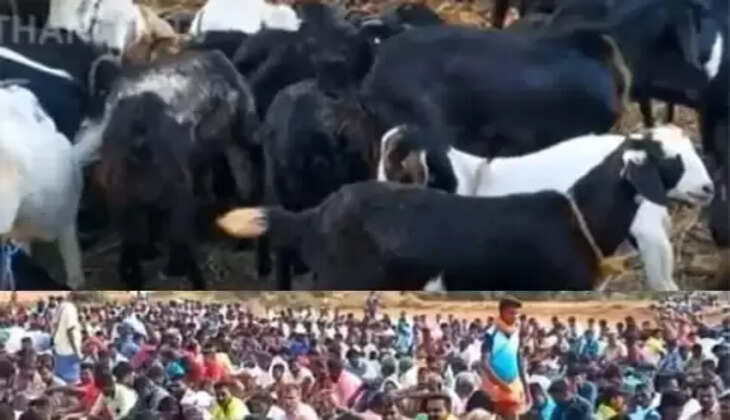 பிரசாதம்