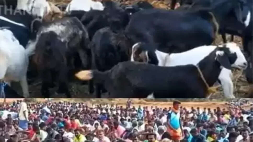 பிரசாதம்