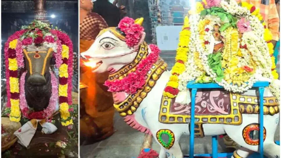 பிரதோஷம் நந்தி