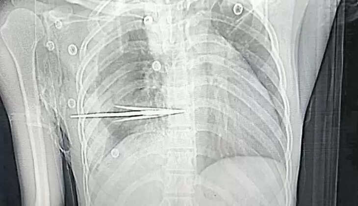 ஜோதி நந்தா 