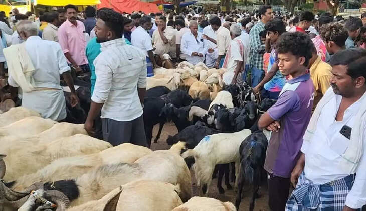 பக்ரீத்