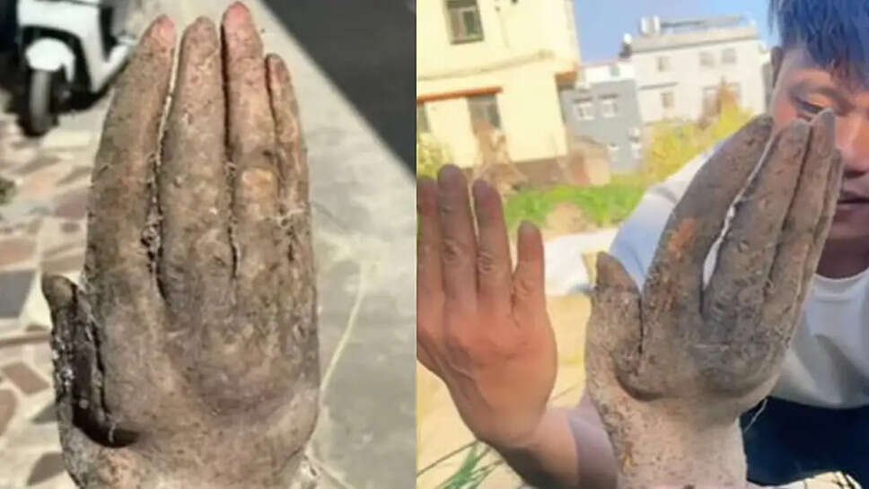 மனிதக் கை வடிவில் சேனைக்கிழங்கு