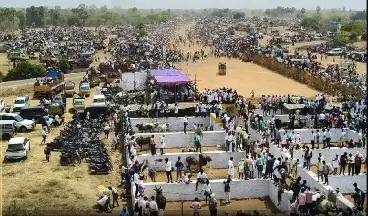 மஞ்சுவிரட்டு