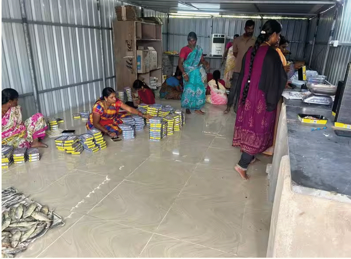 கருவாட்டு கடை