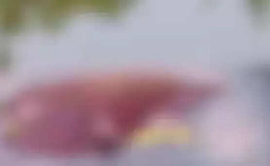 நீரில் மூழ்கி பலி
