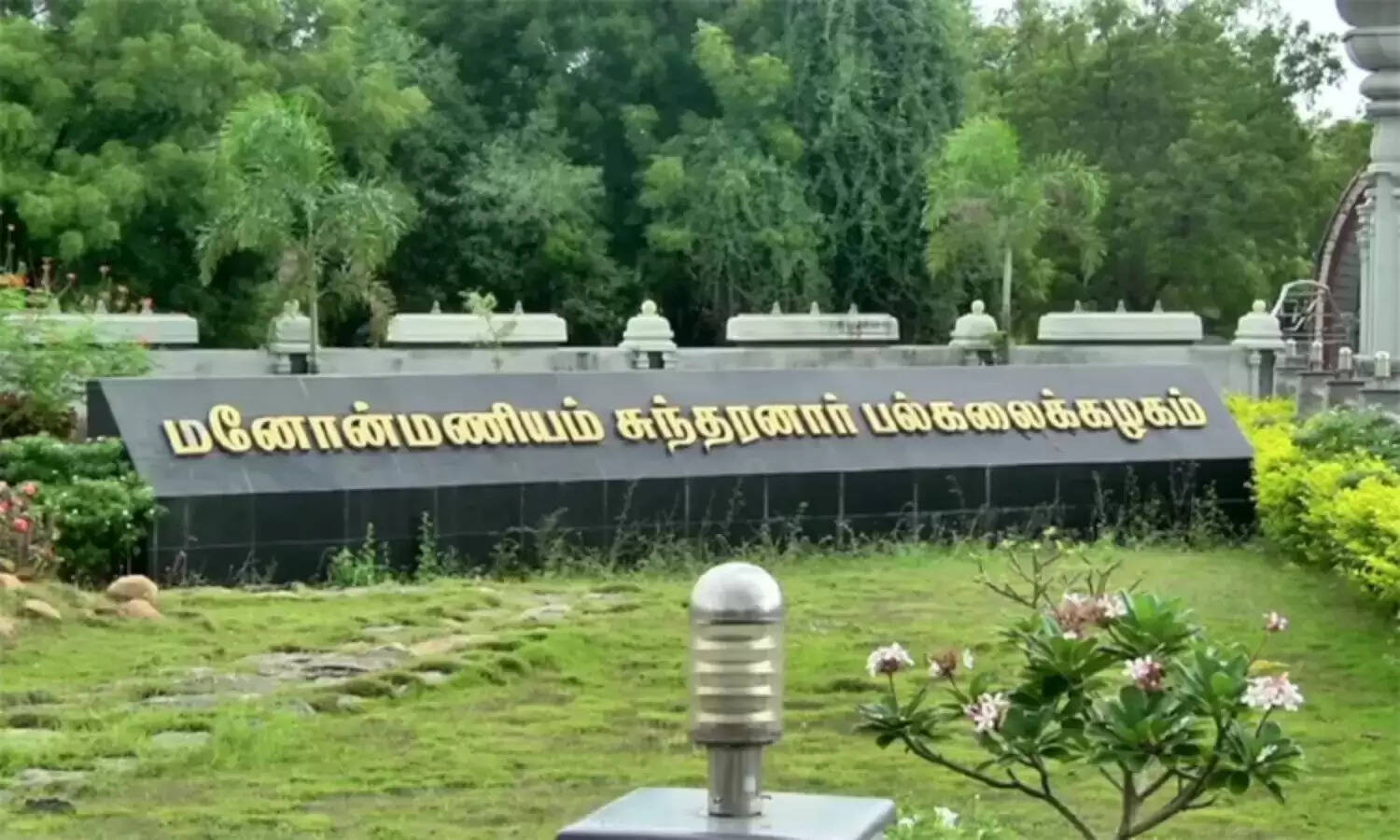 பல்கலைக்கழகம்