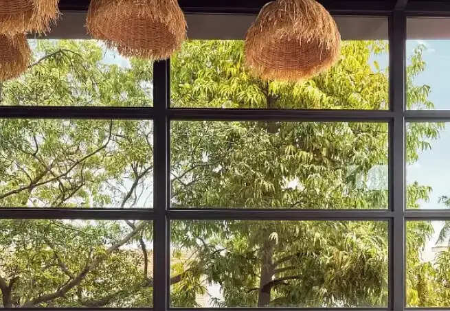 நயன் விக்கி