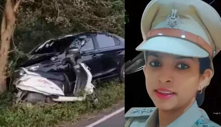 வனத்துறை