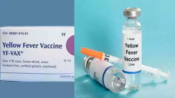 மஞ்சள் காய்ச்சல்