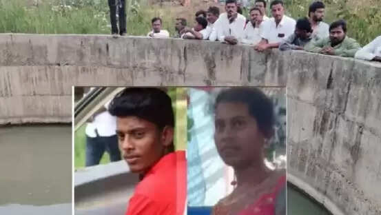 நந்தினி