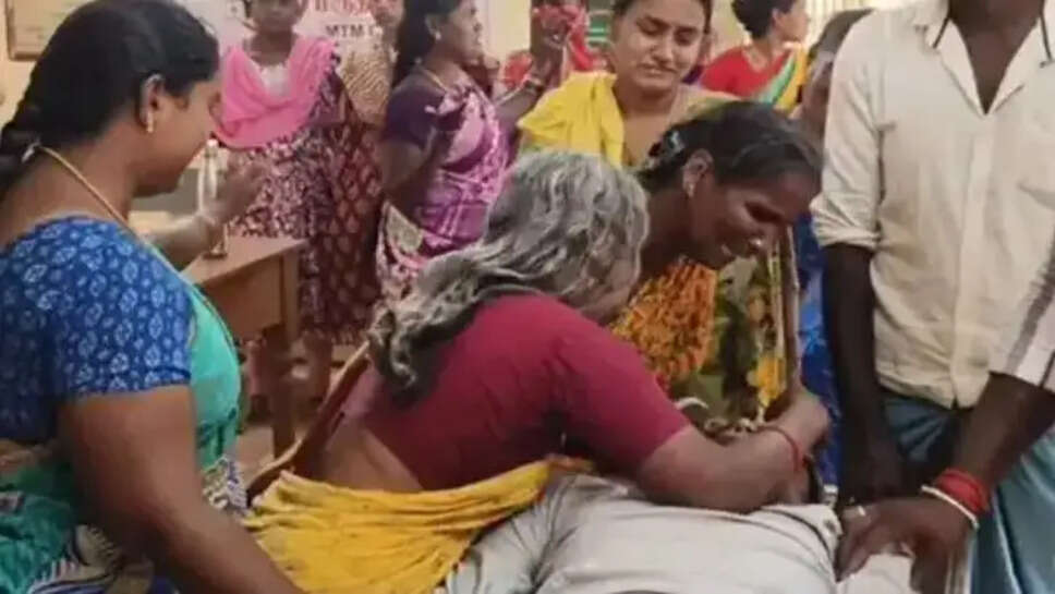 மஞ்சுவிரட்டு காளை 