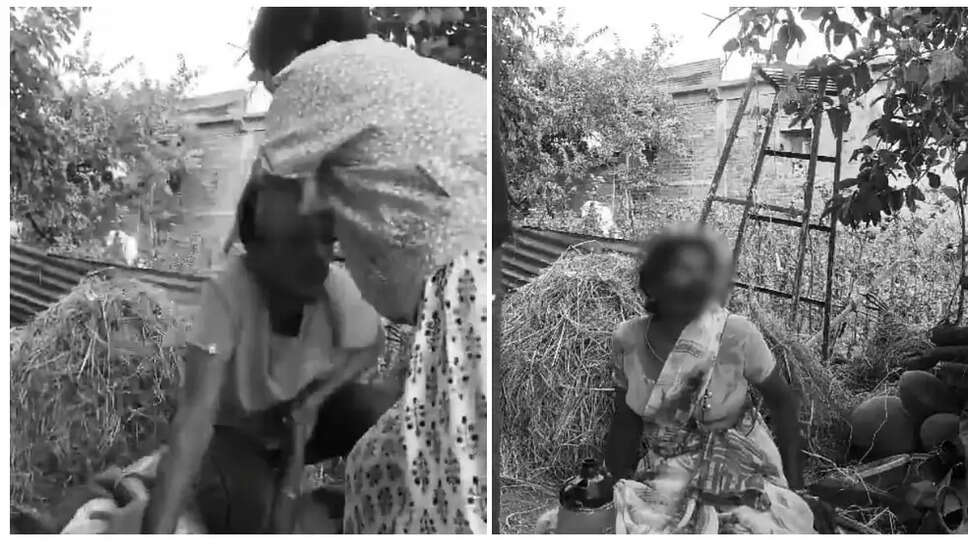 சாமந்தி