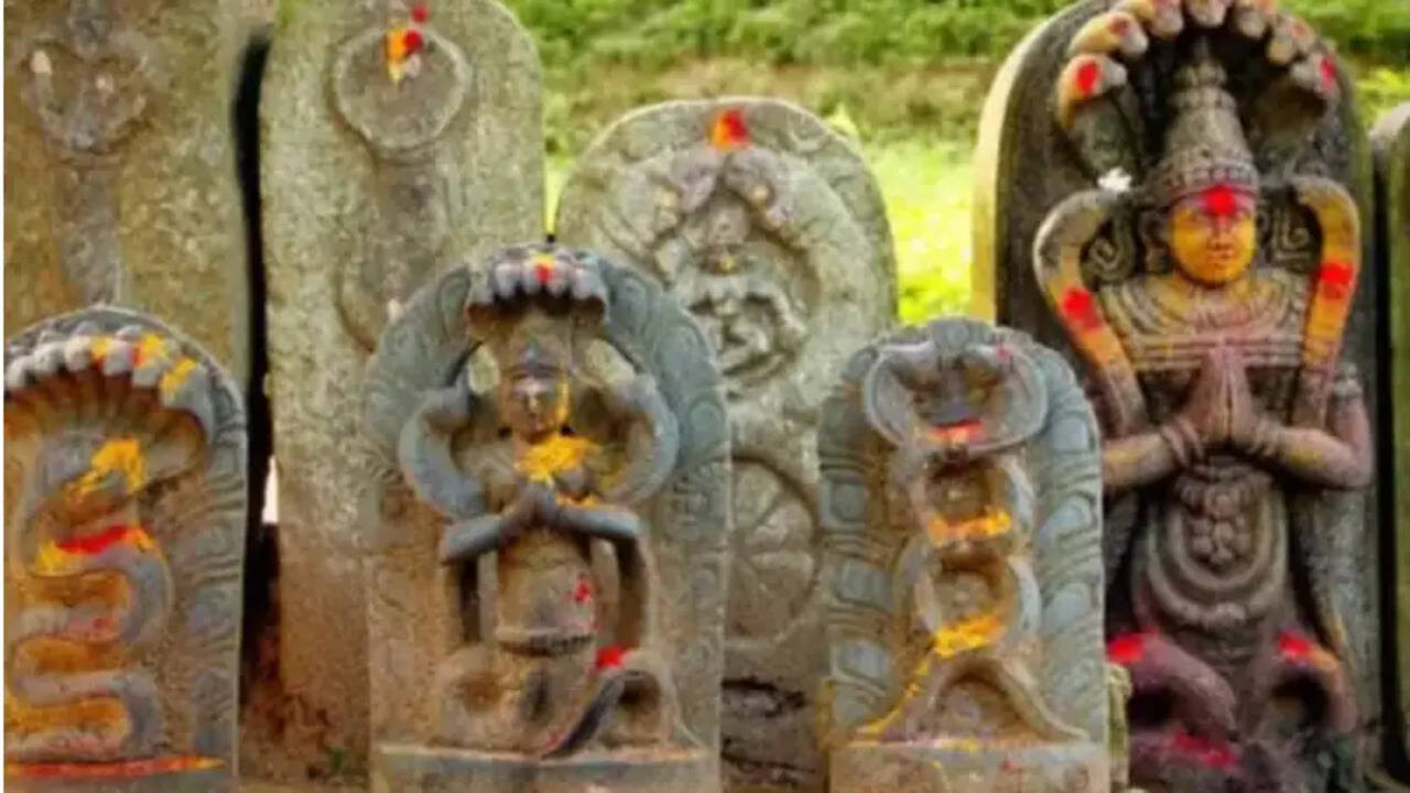 தவறாம கடைபிடிங்க... இன்று கருட பஞ்சமி... தீராத வியாதிகள் நீங்க விரதமுறை, வழிபாடு , பலன்கள்!
